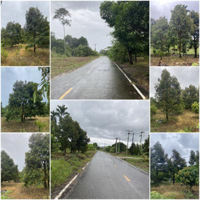 ไร่สวน 7000000 จันทบุรี ท่าใหม่ เขาแก้ว