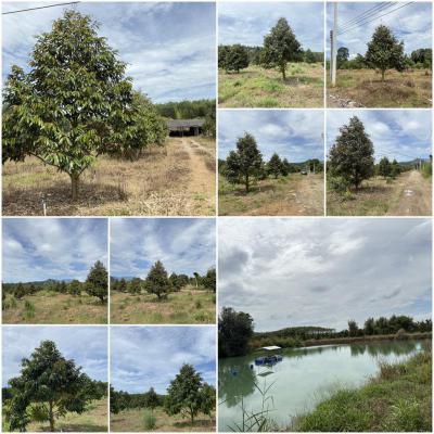 ไร่สวน 22500000 จันทบุรี แก่งหางแมว เขาวงกต