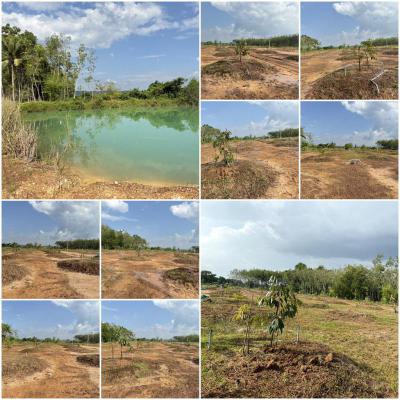 ไร่สวน 2400000 จันทบุรี นายายอาม นายายอาม